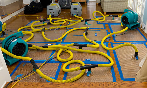 Professional Emergency Water Removal technician working in Midland, VA